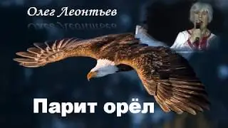 Парит орёл Олег Леонтьев