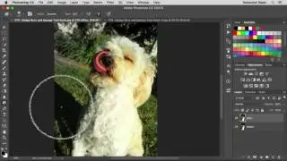 Adobe Photoshop 