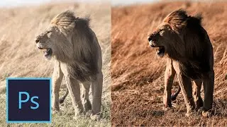 [ Color Effect ] Professional Color Correction l Photo Editing Tutorial in Photoshop CC | 2021