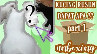 UNBOXING PAKET KUCING RUSUN ISI NYA APA YA? | OTW HARI KUCING SEDUNIA