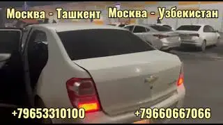 МОСКВА ТАШКЕНТ АВТОБУС +79653310100#мигранты #мусофир #санктпетербург #москва #узбекистан #автобус