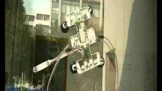 Gecko Inspired Fluid Driven Climbing Robot