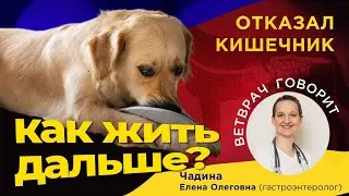 Отказал кишечник, как жить дальше