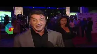 Stallone Star №1