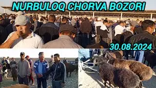 SAMARQAND V NUROBOD TUMANI NURBULOQ CHORVA BOZORIDAN NARXLAR 30.08.24  ELYOR UZ 📠 901998090