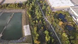Free Video of Path from Drone in 4K | Royalty Free Video