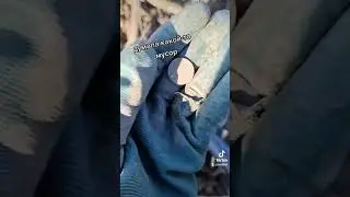 Имперское серебро 😯 