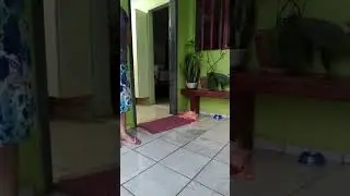 😁