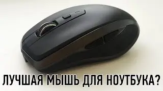 ЛУЧШАЯ МЫШЬ ДЛЯ НОУТБУКА?