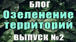 Озеленение территорий