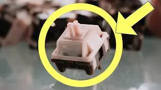 Top 5 Switches of June 2026