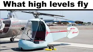 GTA Online Memes | Cluckin’ Bell Farm Raid 