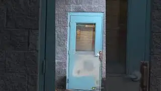 Bouncy Logyn
