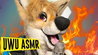 You have NEVER experienced ASMR like this before! The ultimate secret to furry relaxation *Parody*