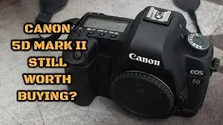 Canon 5D Mark II Review: Still a Budget King?