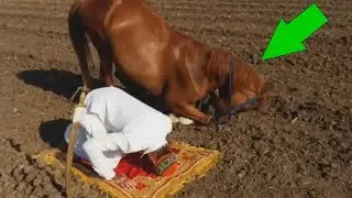ЭГАСИ БИЛАН НАМОЗ УКИГАН ОТ