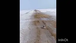 зимняя схватка с неожиданным концом