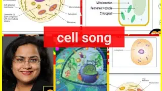 The cell song : learn animal and plant cell structure in fun way!