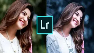 dark blue effect tone Lightroom preset//preset download free