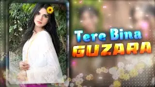 TERE BINA NA GUZARA 💞👥 | Ae Inspired | Alight Motion | Random Xml
