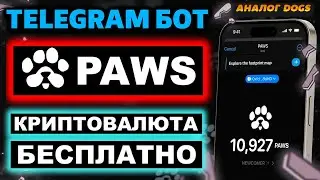 Обзор Telegram бота PAWS. Как получить бесплатный Аирдроп за 1 клик в Телеграмм (PAWSOG_bot)