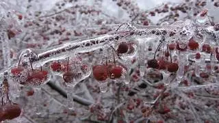 ЛЕДЯНОЙ ДОЖДЬ НА ДАЧЕ