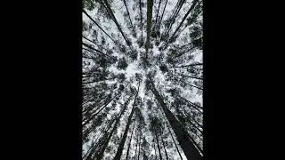 Rylu & Sara - Stawiam Na Spokój