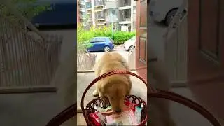 #Short
