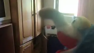 Kachka.mp4