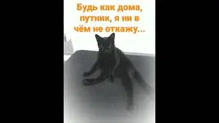 Будь как дома, путник, я ни в чем не откажу...