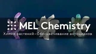 Химия растений – Обесцвечивание антоцианов