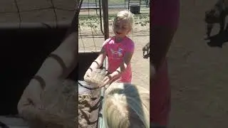 Shedding Season