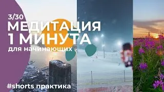 Задержись здесь на 1 минуту и подумай. Дыши. Простая медитация для начинающих.