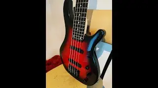 PALMER ECLIPSE 5-DLX BASS