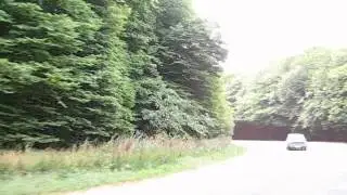 Зеленая дорога