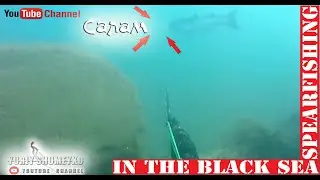 #САЛАМ АЛЕЙКУМ   от ЛОБАНЧИКА 2021