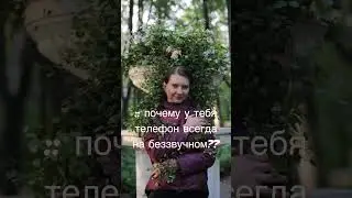 Жиза