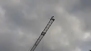 Observando a las grúas de construcción (4K)