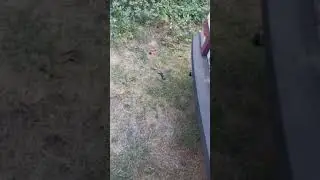 авто ваз выхлоп