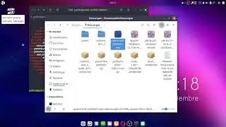 Instalación Pseint