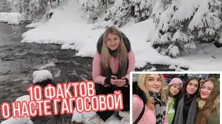 10 Фактов О Насте Гагосовой 