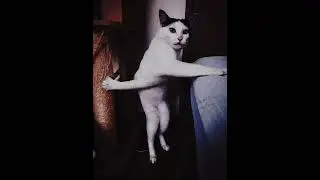 me if i had powers