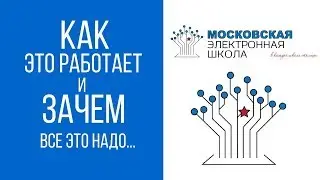 Московская электронная школа. Как это работает и зачем все это.