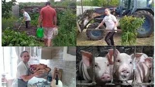 МОЙ ЛЮБИМЫЙ ПОМОЩНИК!!!🥰🤱🐄🐖🥫
