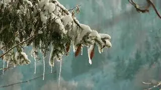 Winter in Planinsko polje ( Sony A6700 )