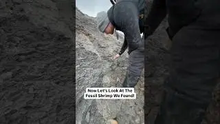 Fossil Collecting From Heaps Of Sloppy Mud! 😵‍💫🤯🦑