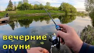 Мормышинг после работы . Вечерние окуни .