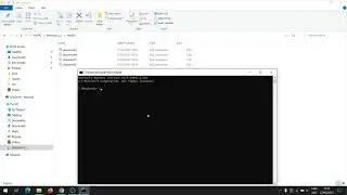 How to Get All Filenames in a Folder with CMD