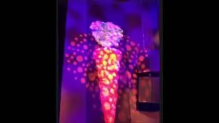 Carrot Top celebrating his 16th year on the Las Vegas Strip