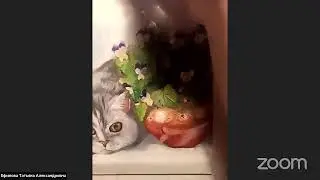 Различные техники рисования